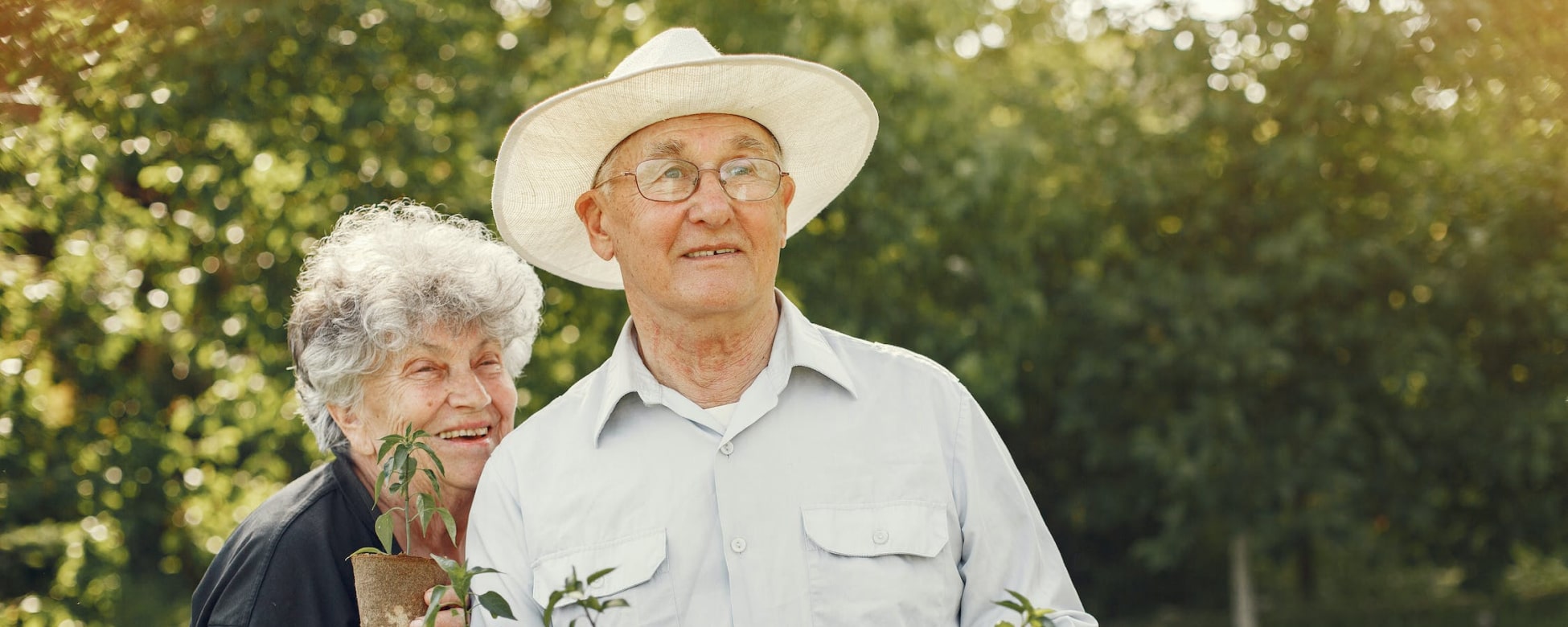 Investment Planning in Victoria